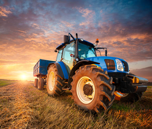 istockphoto-1467812717-612×612
